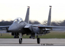 F-15 E/D Strike Eagle (1:72) Revell 63841 - Obrázek
